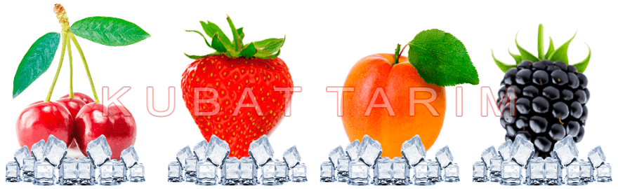 Kubat Tarım Ürünleri